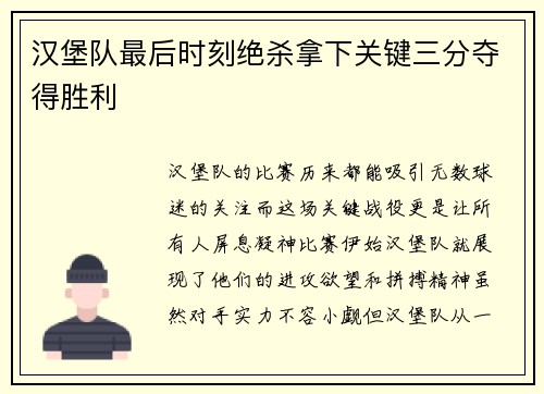 汉堡队最后时刻绝杀拿下关键三分夺得胜利